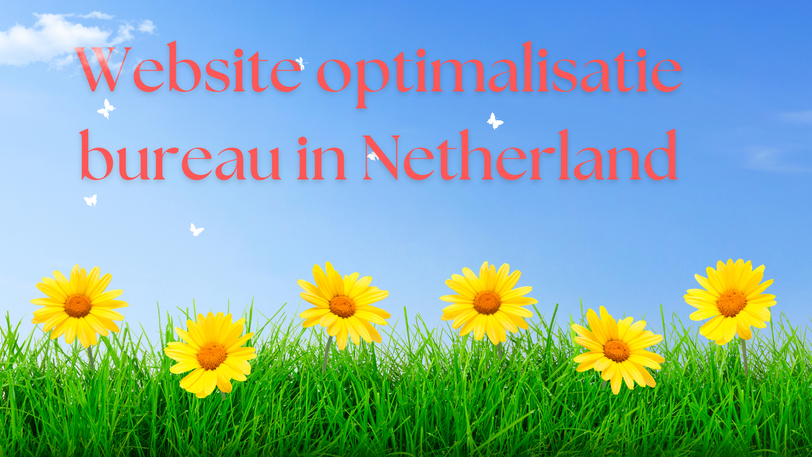 Website optimalisatie bureau in Netherland