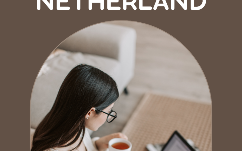 Seo optimalisatie bureau in Netherland
