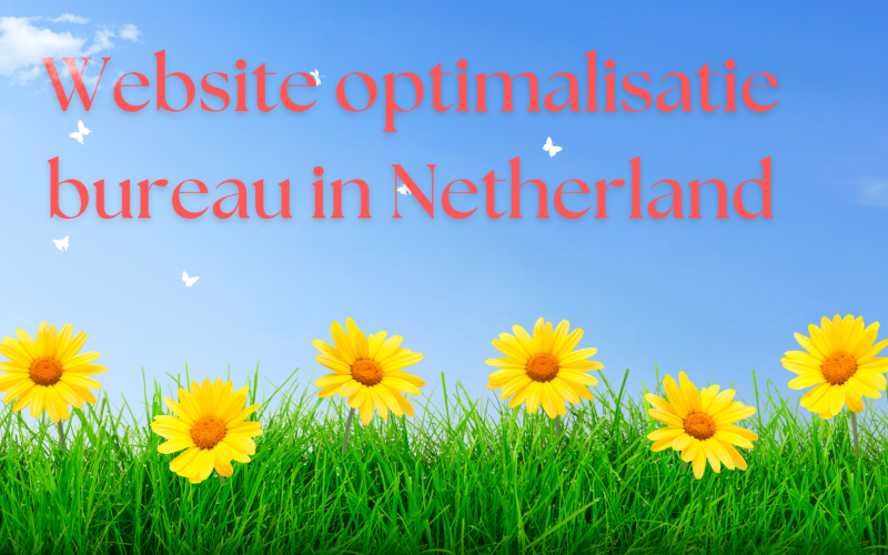 Website optimalisatie bureau in Netherland